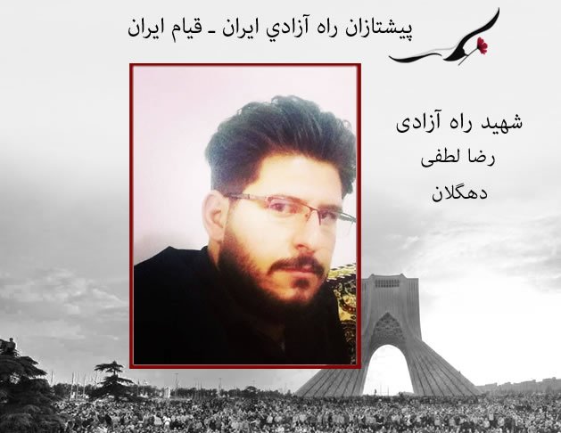 رضا لطفی
